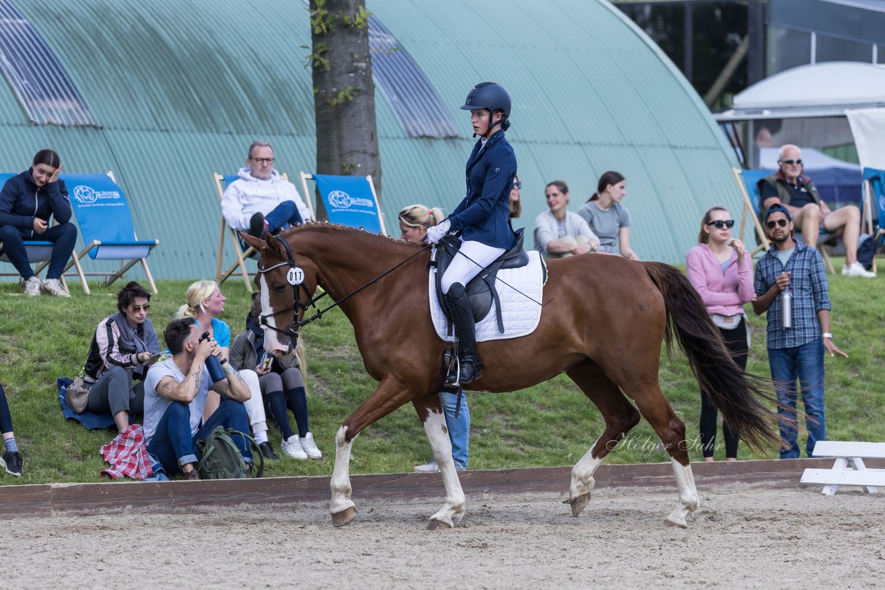 Bild 226 - Pony Akademie Turnier